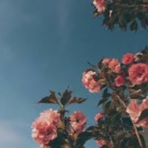 Meet your Posher, Kendall